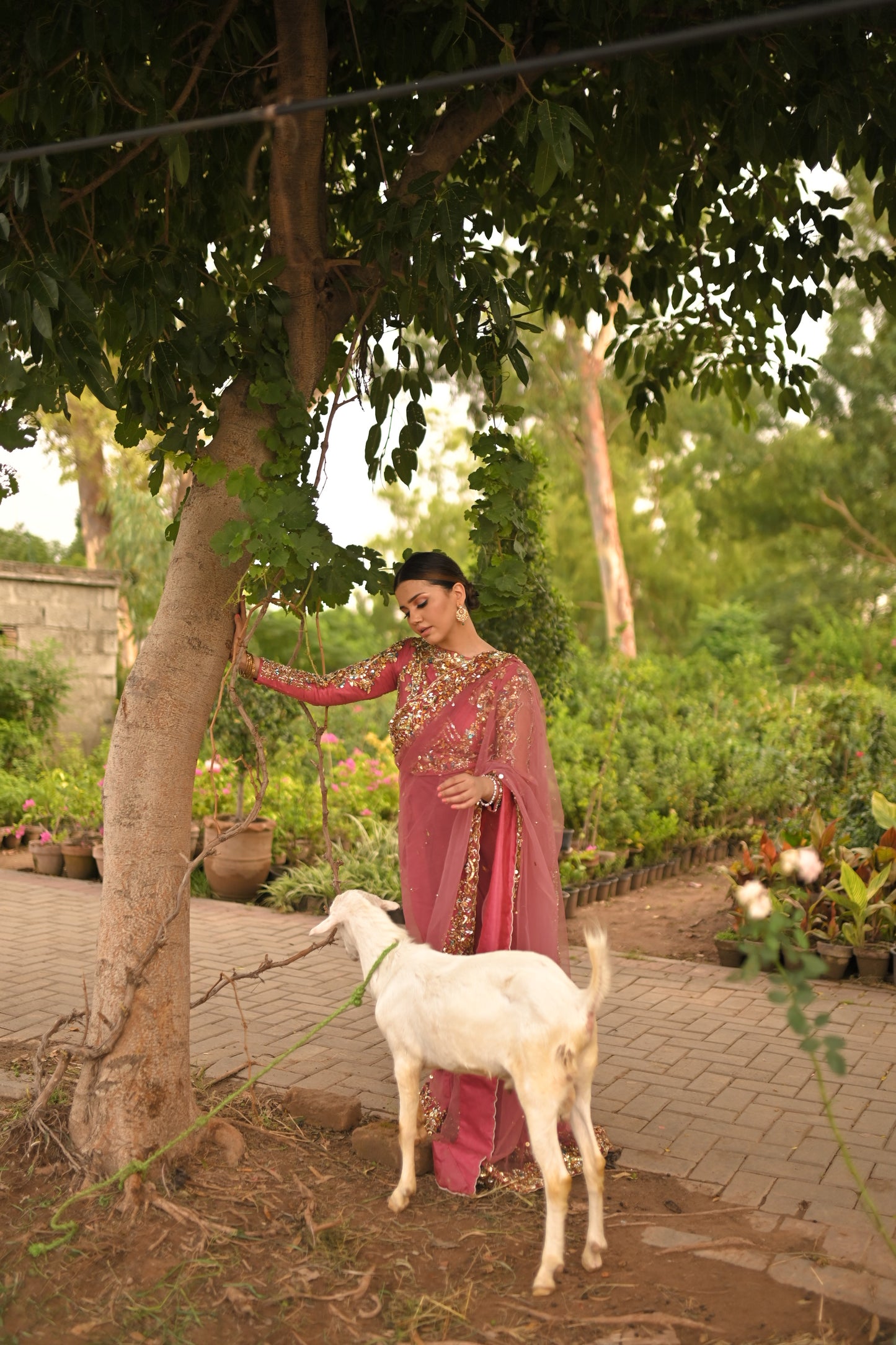 zeba