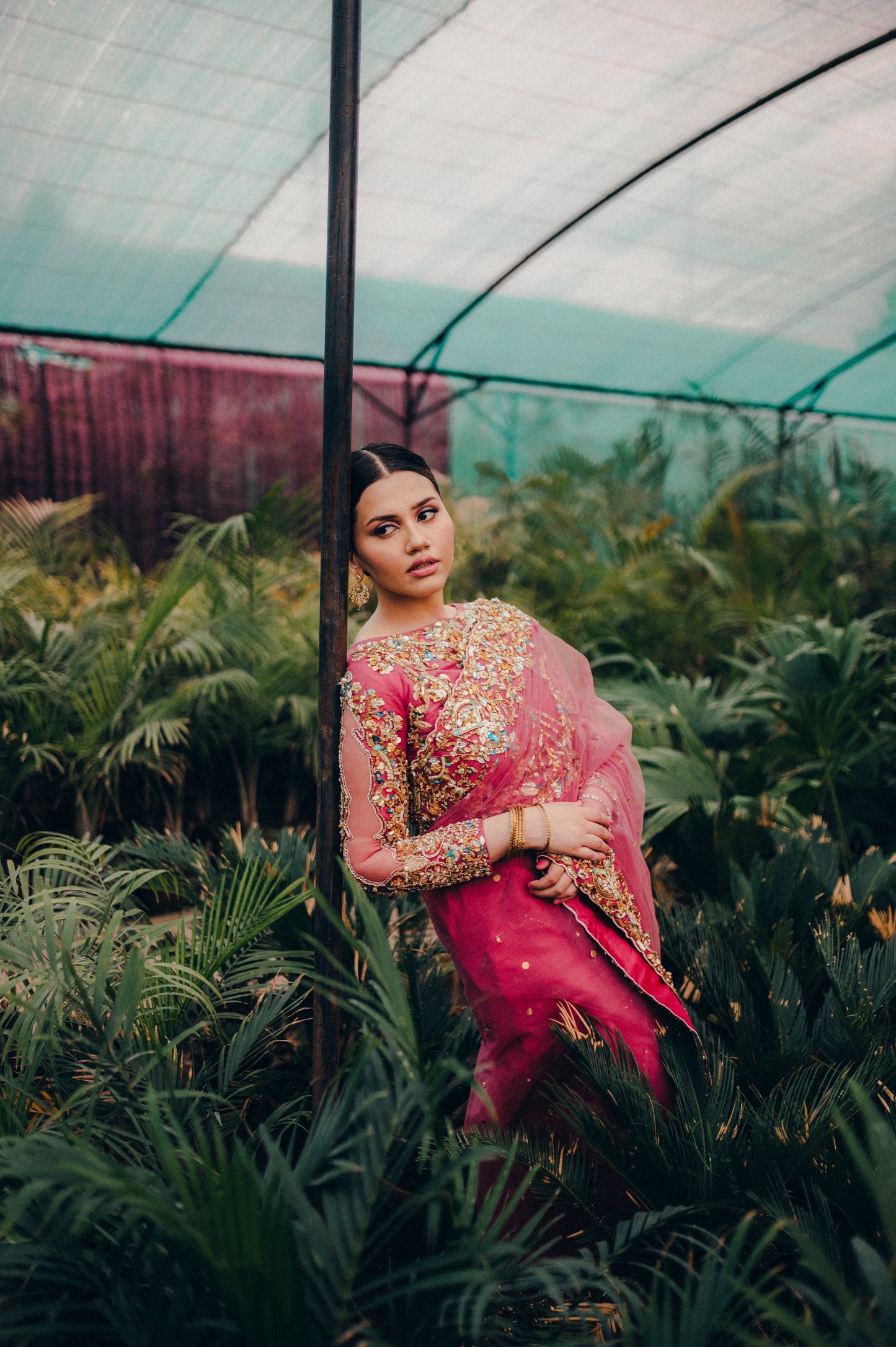 zeba
